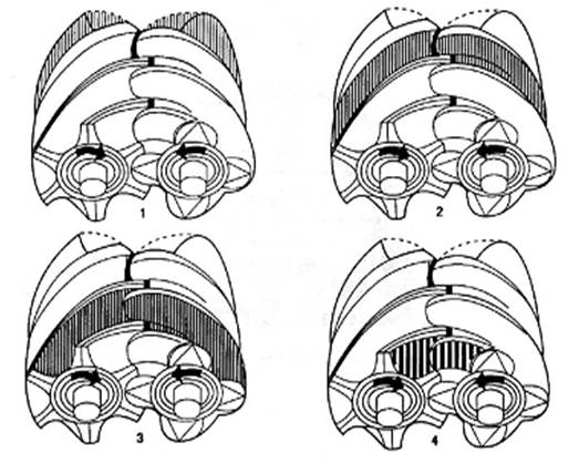 空壓機(jī)工作原理 空壓機(jī)工作原理